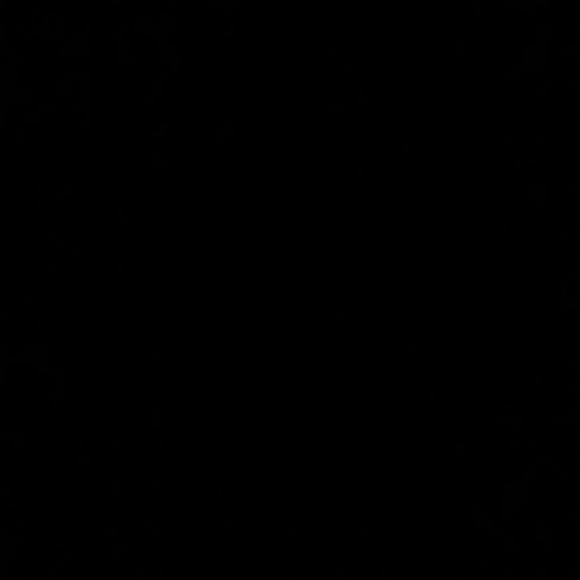 Meet your Posher, Haley - Picture 1 of 1